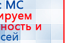 Аппарат магнитотерапии СТЛ Т-00055 Вега Плюс купить в Сыктывкаре, Аппараты Меркурий купить в Сыктывкаре, Нейродэнс ПКМ официальный сайт - denasdevice.ru